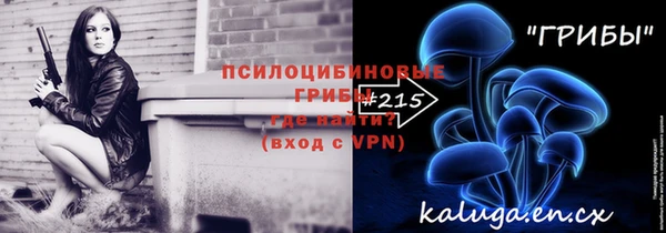 гидропоника Абаза