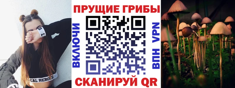 Псилоцибиновые грибы Magic Shrooms  Партизанск 