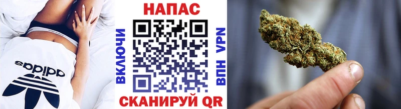 где найти наркотики  маркетплейс состав  MEGA ТОР  Бошки Шишки гибрид  Партизанск 